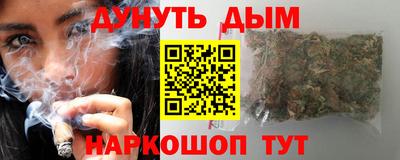 гашик Бердск