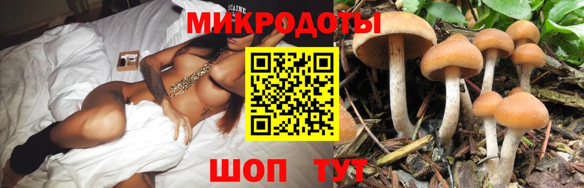 Галлюциногенные грибы мухоморы Асбест